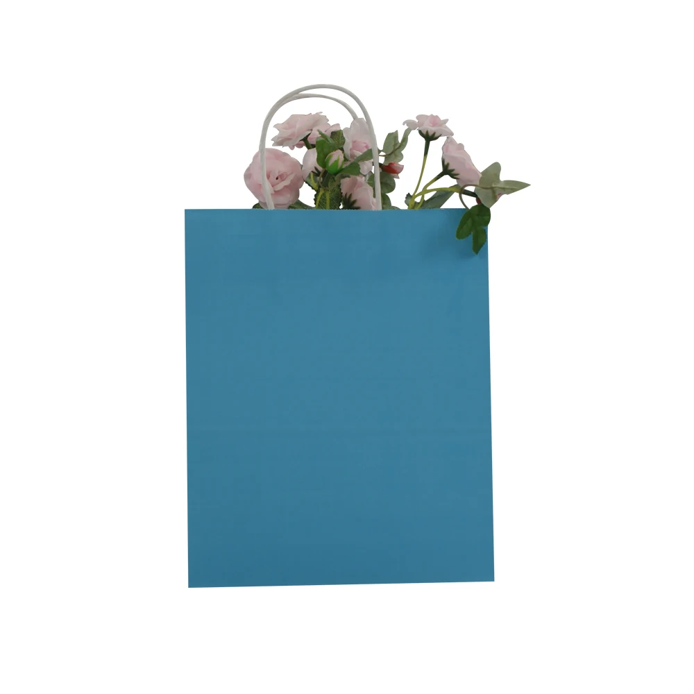 Jialan paper carrier bags for sale for packing birthday gifts-14