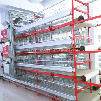 Low Cost Automatic Poultry Farming Design For Broiler 