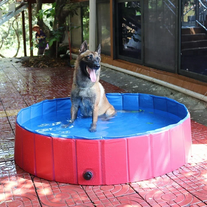 pet pool