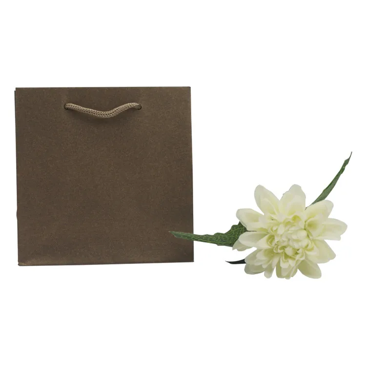 Various custom luxury promotional shopping kraft paper bag with rope handle