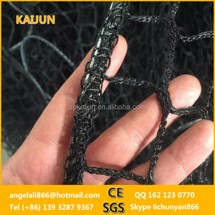 professional sports net