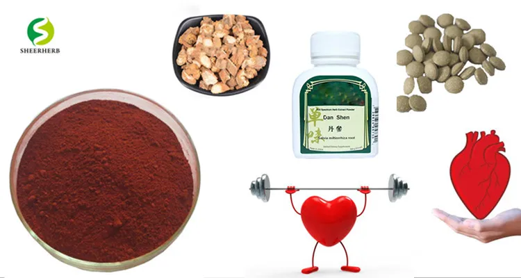 100% Natural Fufang Dansheng Pian Danshen Extract Tablet Danshen Herb ...