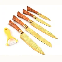 

Premium Quality Stainless Steel 2cr13 Blade 6pcs Kitchen Cooking Knife Set With Color Gift Box