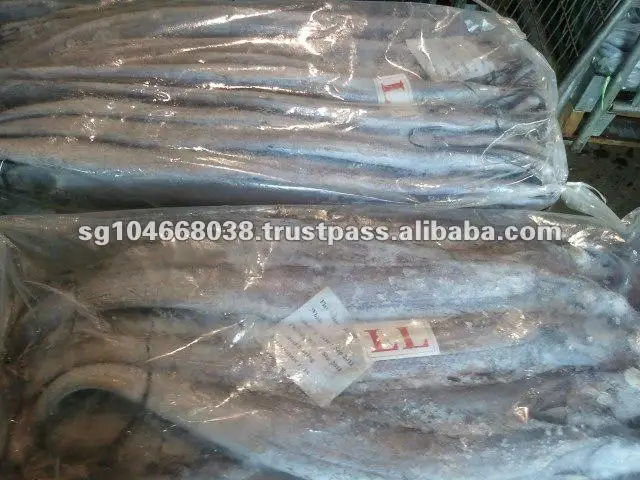 2011-12-20 09.36.27.jpg