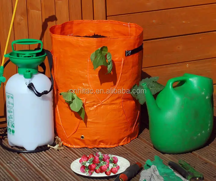 PB4-Strawberry-Grow-Bag.jpg