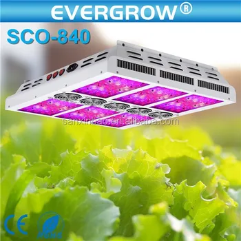 Battery powered led grow lights