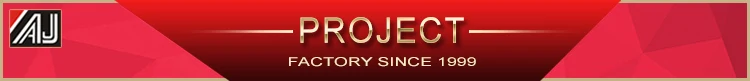 Project