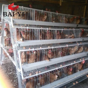 Second Hand Layer Poultry Cages