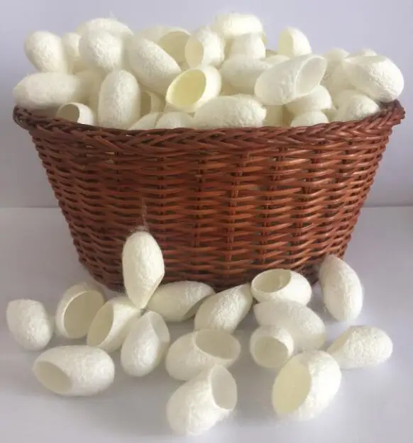 

Shenzhen Natural Dry silkworm ball blackhead remove Silk Cocoons for skin care, White