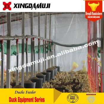 Automatic Broiler Chicken Ducks Feeder Drinker Pan Feeding System