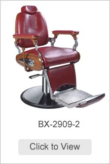 BX-2909-2.jpg