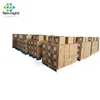 CAS NO 134-03-2 VC na/Ascorbate Na/Sodium Ascorbate with low price