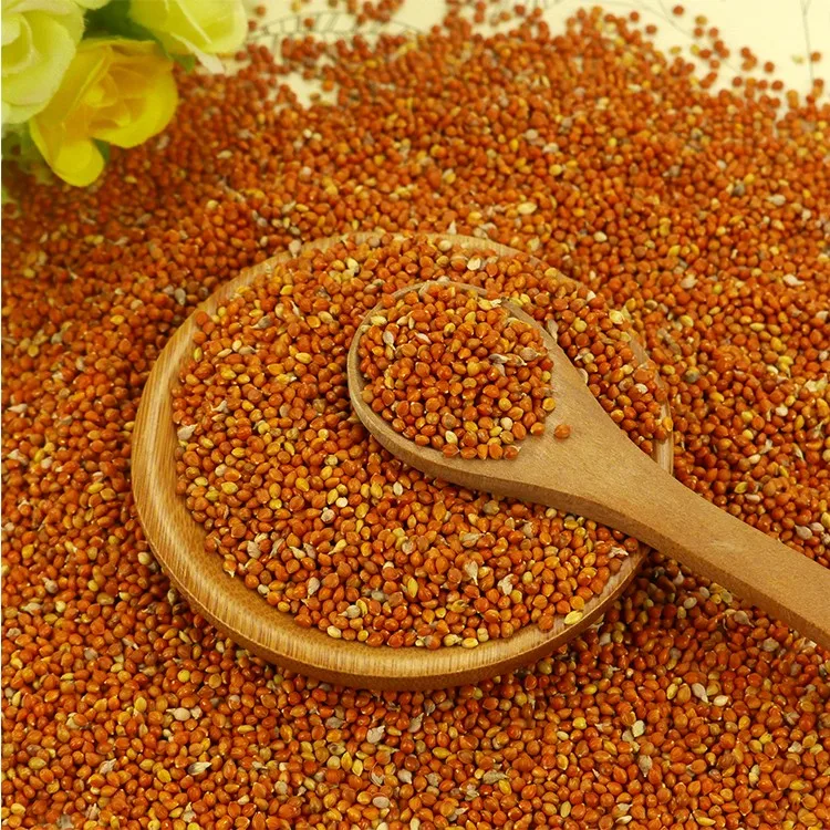 Well Choose Red Millet In Husk Mc Type Buy Millet,Red Millet Spray