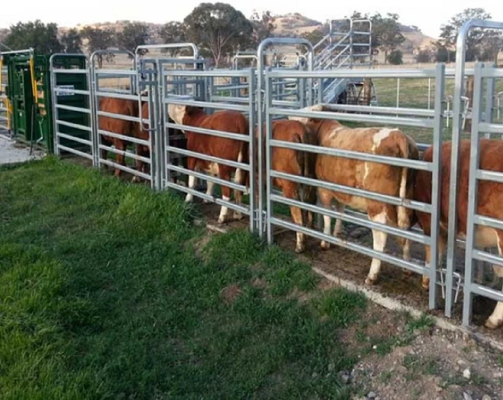 Galvanized Metal Livestock Fence Panel Buy Livestock Fencelivestock