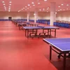 Any size school table tennis court PVC vinyl sports flooring