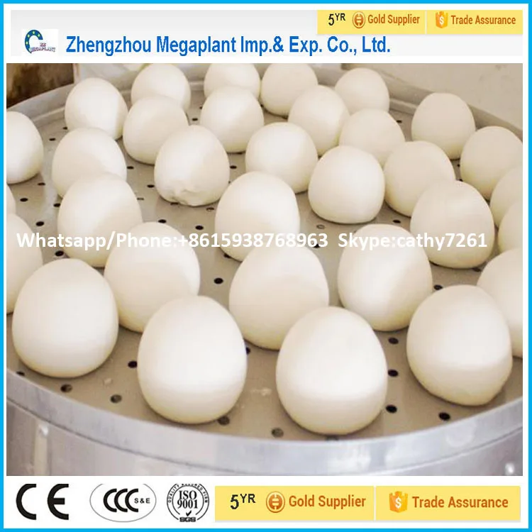 Electric commercial dough kneading machine machine and dough roller rolling machine