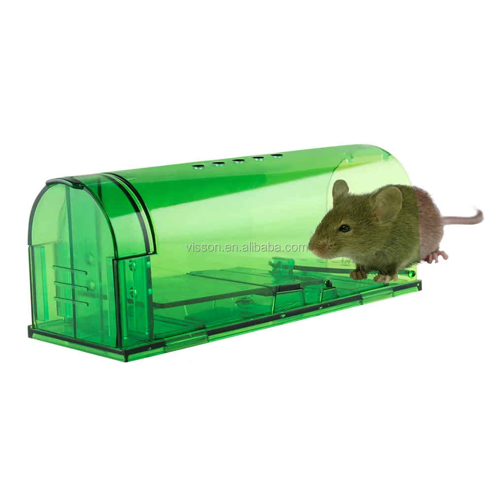 no kill rat trap