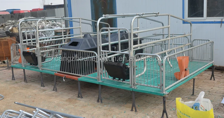 farrowing pen (2)
