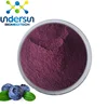 Factory supply freeze dried wild blueberry powder bulk