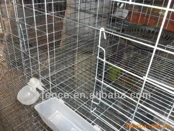 pet pigeon cage