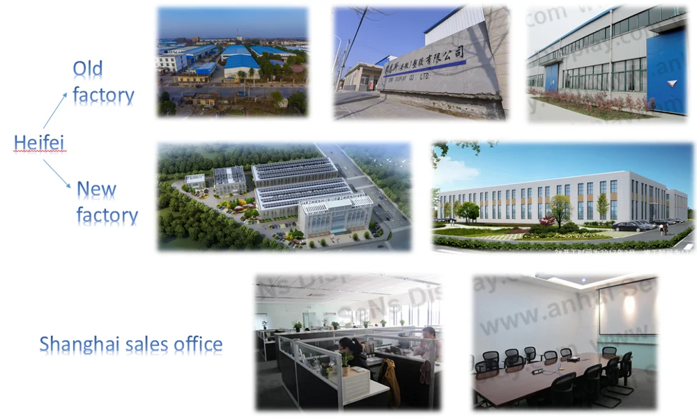 company info1.png
