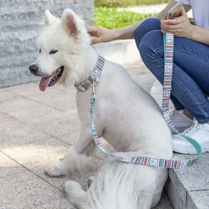 Image of Wholesale fashion design cool style custom personalized best quality beautiful printing pet dog walking collar