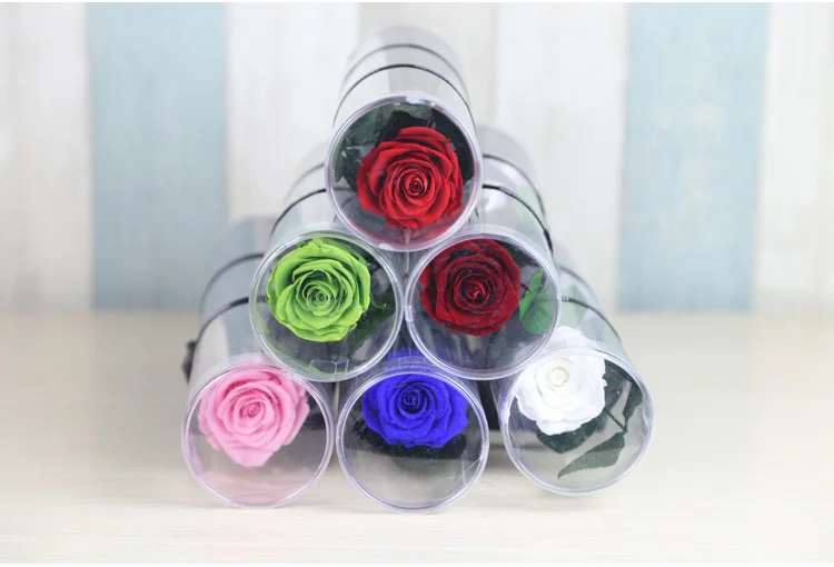 preserved rose flower