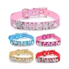 New Design Durable Adjustable DIY Letter Leather Spiked Dog Collar for Dog Lead