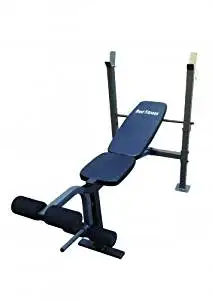 Buy Weider Pro 230 Multi Position Incline Decline Weight Bench