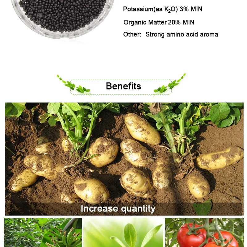 For Potatoes Banana Tea Orange Grape Strawberry Kiwiberry Organic Fertilizer Amino Acid Fertilizer NPK12-0-3