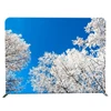8x8ft backdrop Expo portable event tension fabric backwall display stand for exhibition backdrop