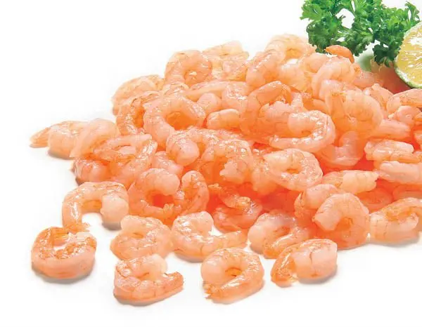 Image result for shrimp 100/200