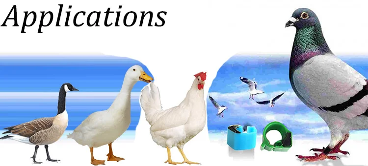 Factory wholesale customized colorful 125khz-134.2khz animal rfid poultry pigeon ring tag,em4305 bird animal rfid tag