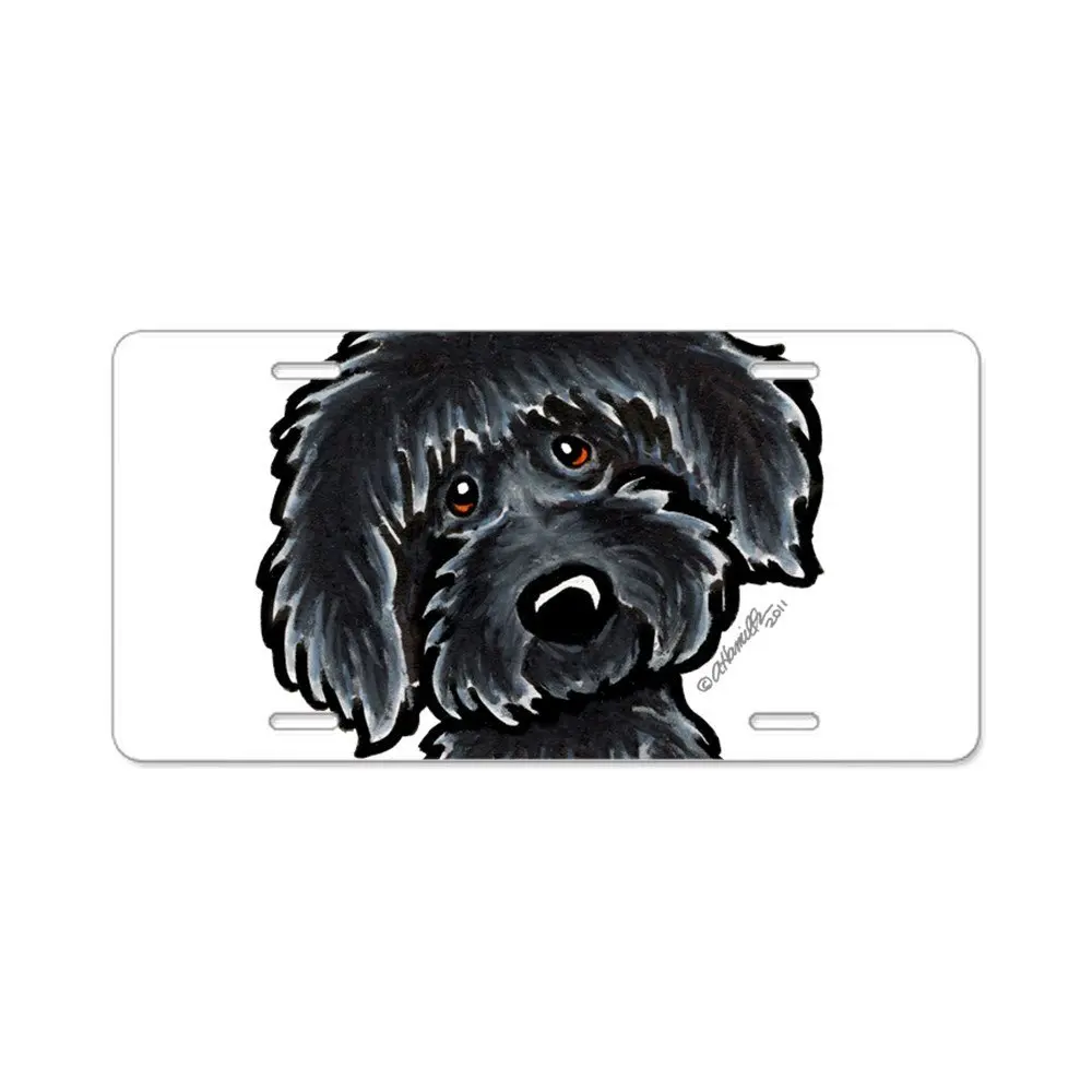 Front License Plate Vanity Tag CafePress Assman Aluminum License Plate
