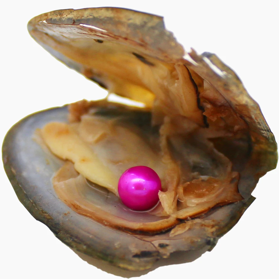 

vacuum packed 6-7mm AAAAA grade round pearl oyster white pink purple natural dyed colours stock