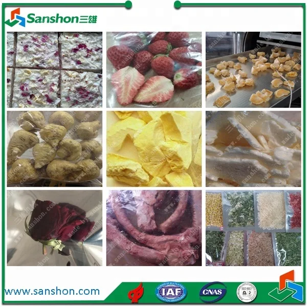 SFD-Series-Food-Lyophilization-Equipment-Fruit-Freeze.jpg
