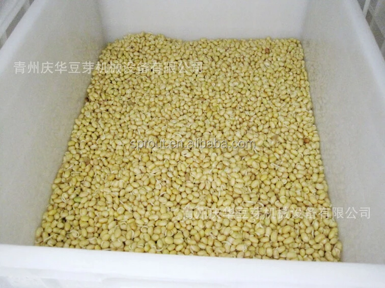 
Full automatic bean sprout machine 