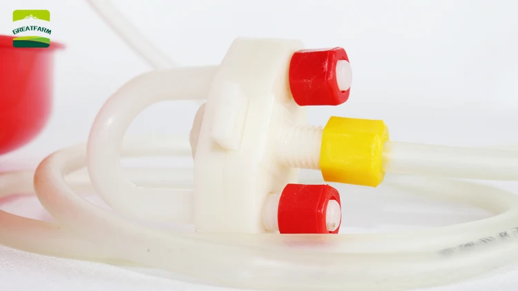 Plastic slatted flooring for pig goat / sheep/ dairy & poultry farms floor sheep In Stock