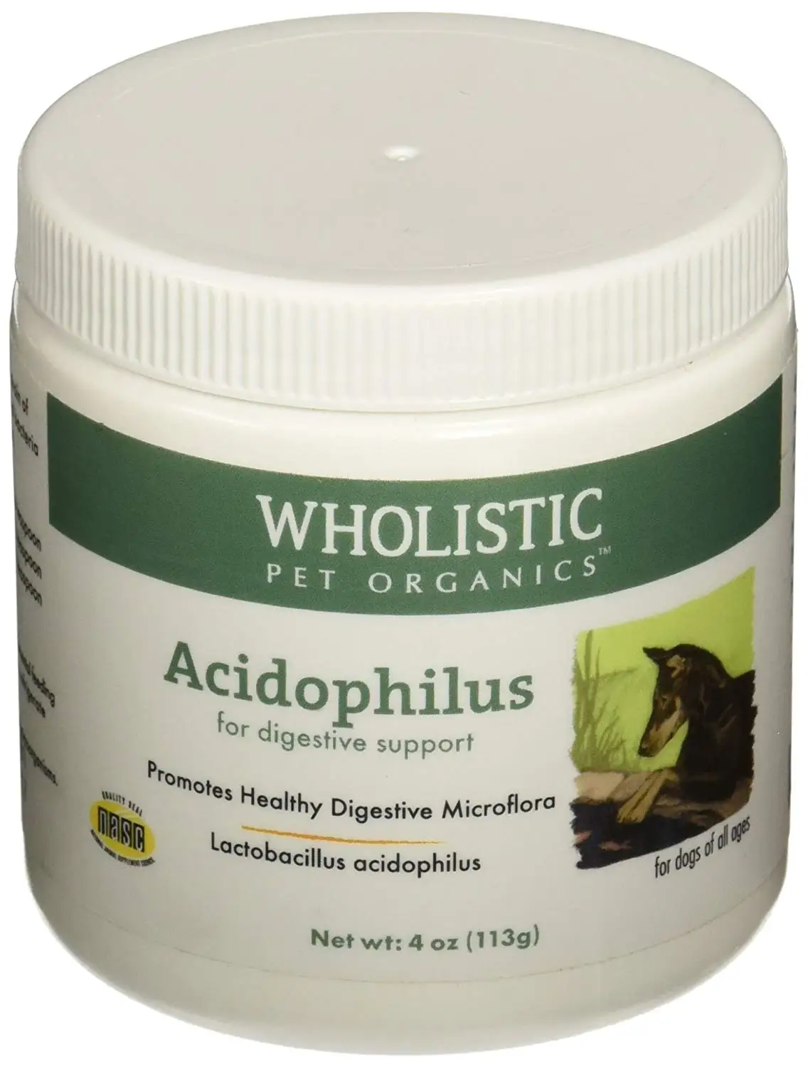 Acidophilus Probiotic 21 Century Купить