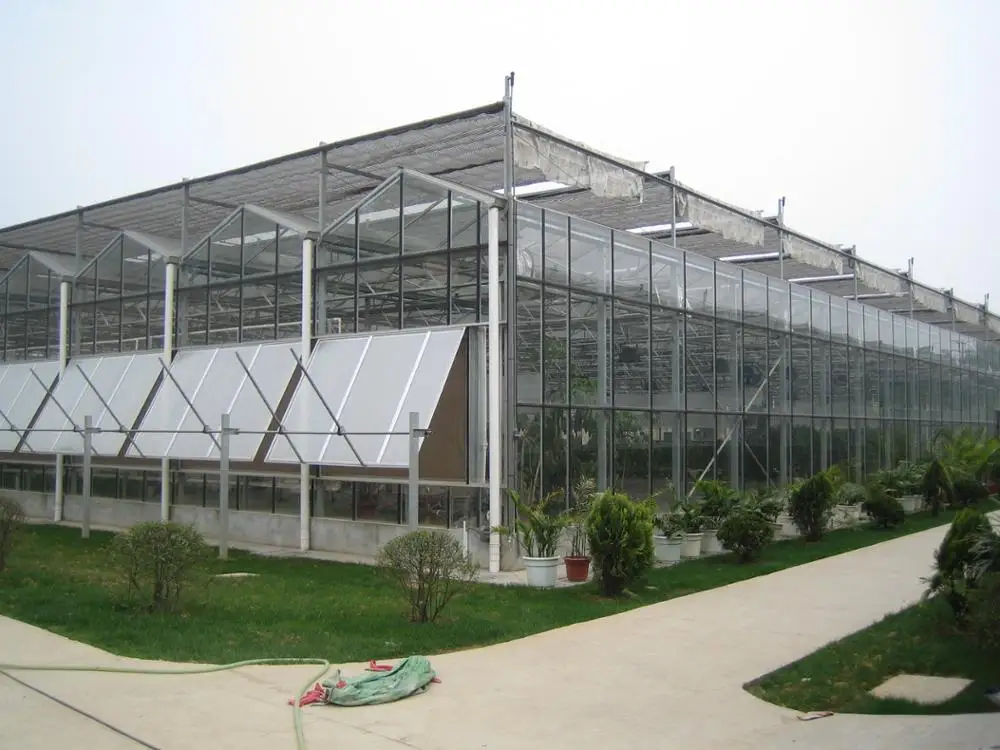 glass greenhouse (26)
