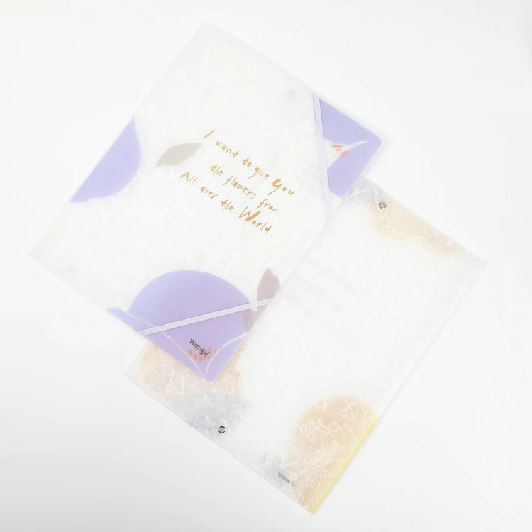 
High Quality Office Products Hot Sale Waterproof PP Customized Design A4 Letter Size Elastic File Folder 