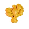 full mature chinese fresh ginger air dryed ginger piece for sale
