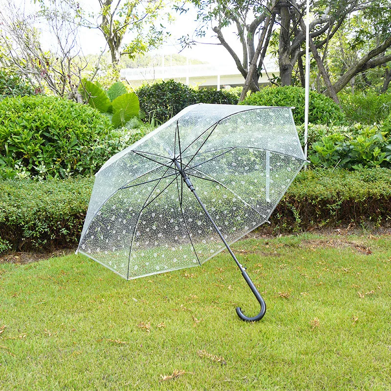 Disposable Clear Plastic Cheap PVC Transparent Umbrella