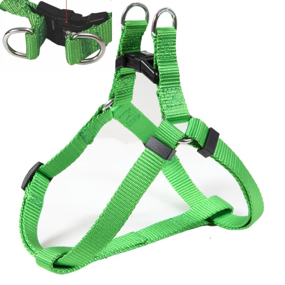 buckle dog harness