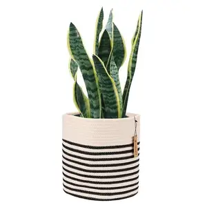 Image of Indoor House hanging woven wicker rattan cotton rope hanging plant basket