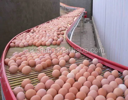 
SUKAHAN Poultry Feed Premixes / Probiotics Additive 
