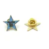 Hot selling star shaped nursing hard enamel lapel pins