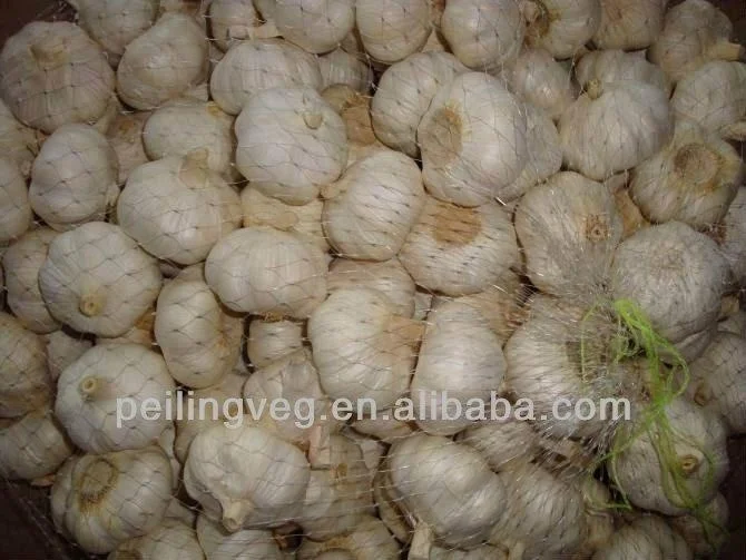 
Fresh garlic China factory 2018 