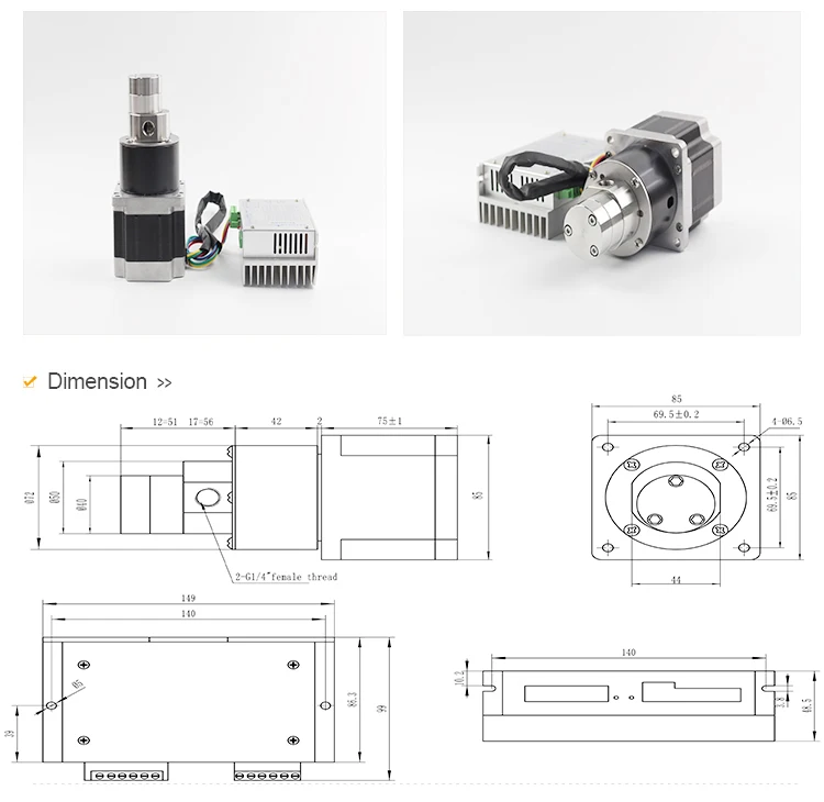 30 900ml / Min 24v Micro Chemical Gear Pump/low Flow Micro Stainless