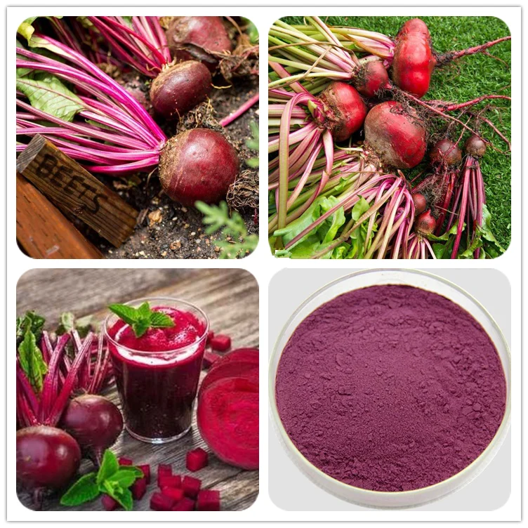 レッドビートルートジュースパウダーベタイン塩化水素hclビート根エキス50 1 Buy ビートルート粉末 ビートジュース粉末 ビート根エキス 50 1 Product On Alibaba Com